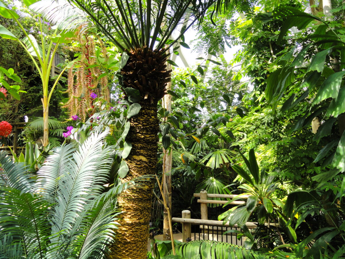 The Denver Botanic Garden